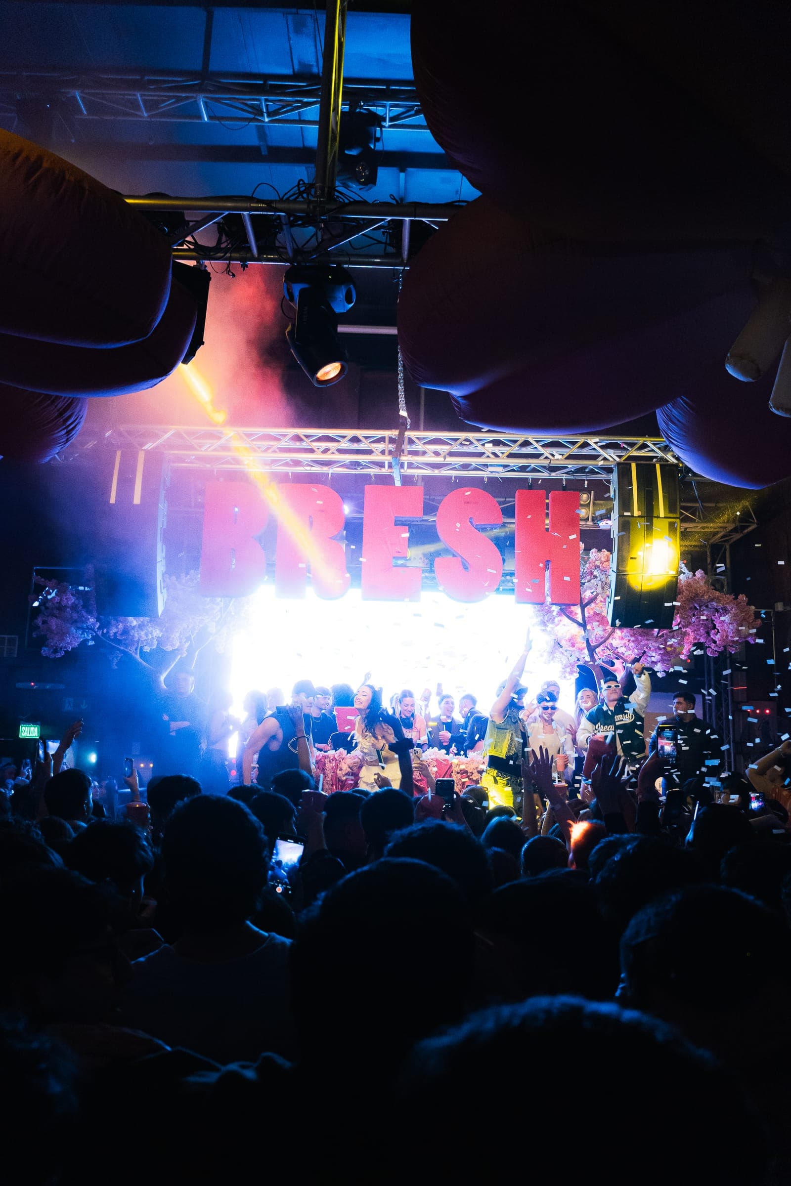 View of the crowd and illuminated BRESH stage